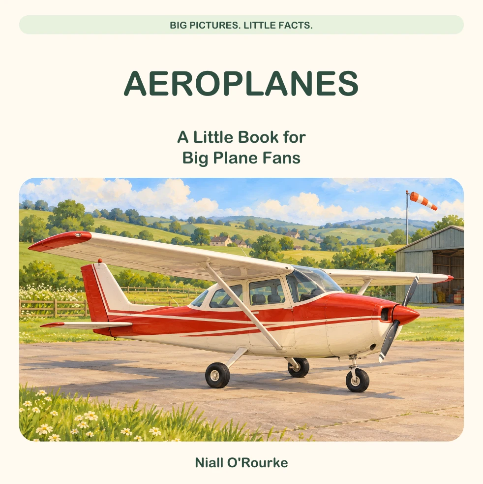 Aeroplanes book cover